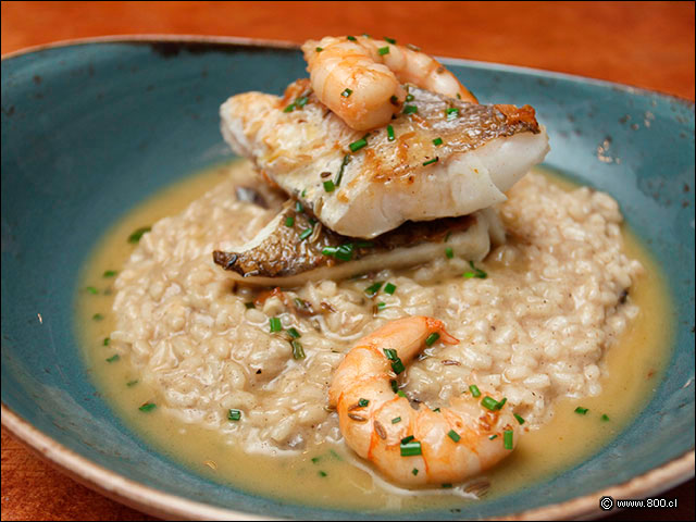 Risotto Funghi con merluza austral en salsa de camarones